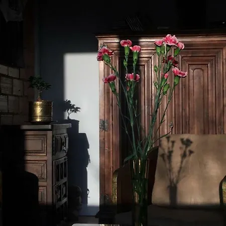 Ogrodowa - 700 דירה *