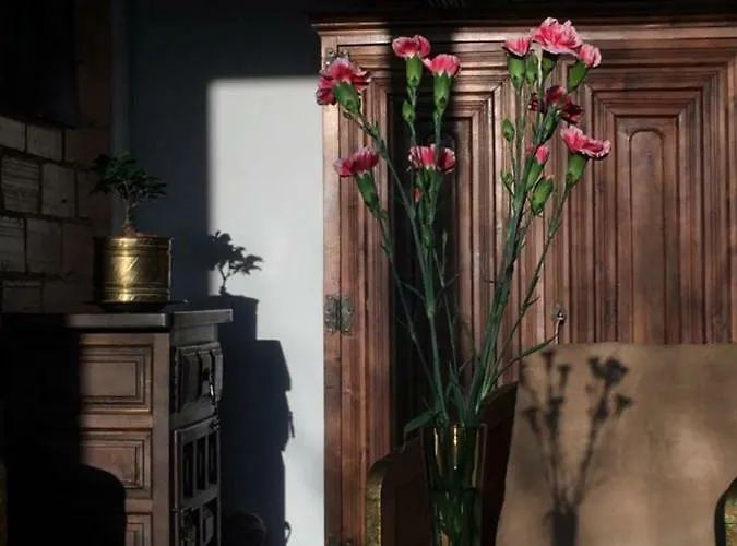 Ogrodowa - 700 Апартаменти *