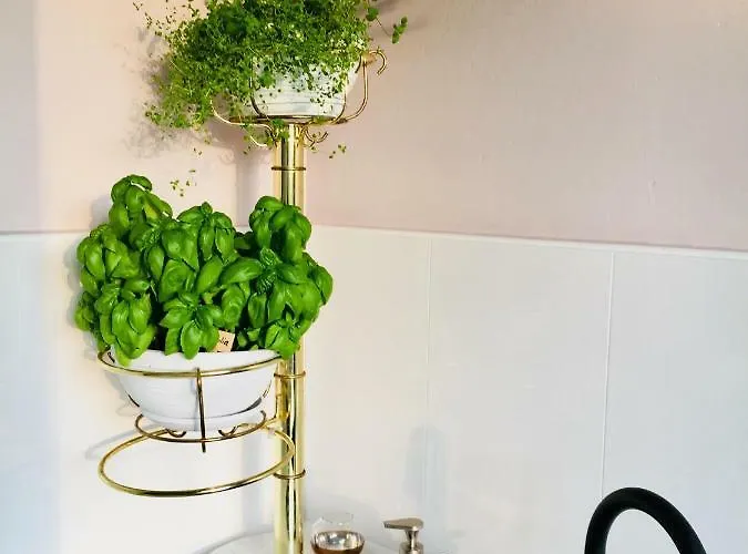 Apartment Ogrodowa - 700 *